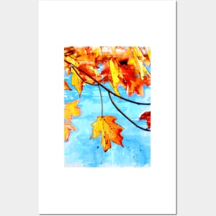 Typical Orange Autumn Leaves Posters and Art